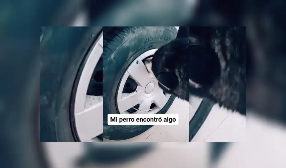 Desliza hacia la izquierda para ver más del video viral. Desliza hacia la izquierda para ver más del video viral.