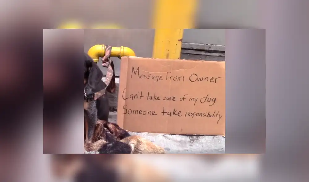 Desliza hacia la izquierda para ver más del video viral