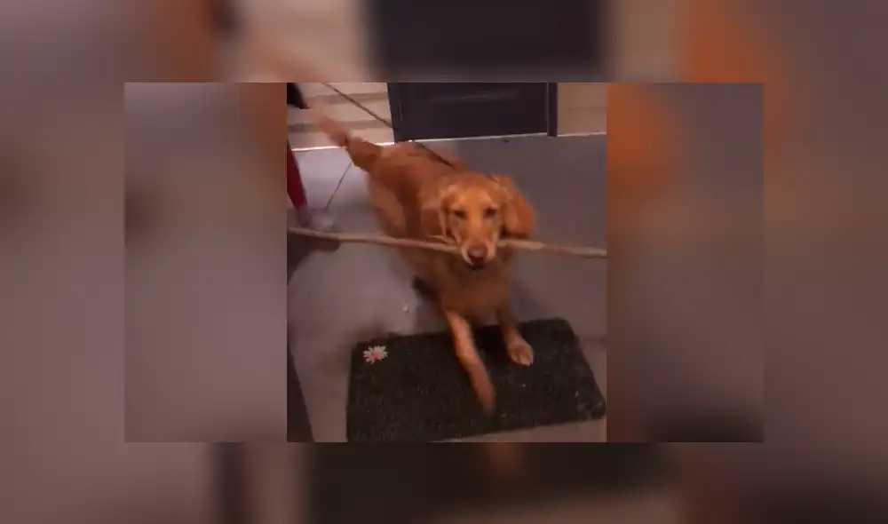 Desliza para ver todas las imágenes de Facebook. Foto: captura