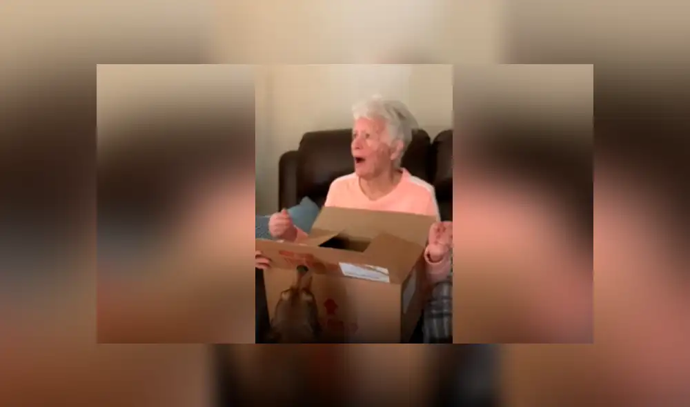 Facebook viral: mujer le regala cachorro a su madre y anciana tiene dramática reacción al verlo