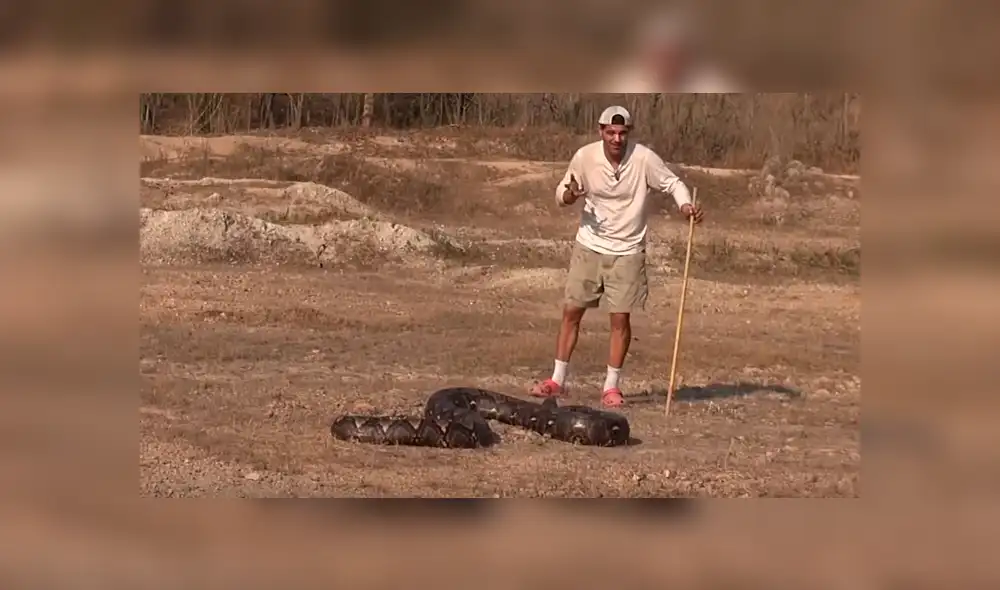 YouTube:Joven se arriesga y molesta a gigantesca serpiente cuando ocurre lo menos pensado