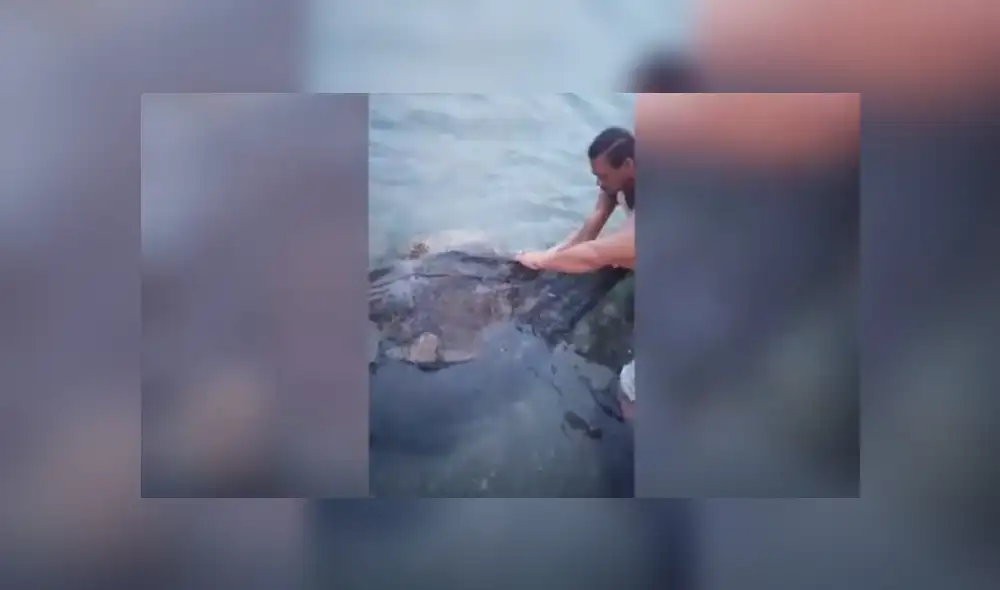 Desliza hacia la izquierda para ver más del video viral. Fotocaptura: Youtube Desliza hacia la izquierda para ver más del video viral. Fotocaptura: Youtube