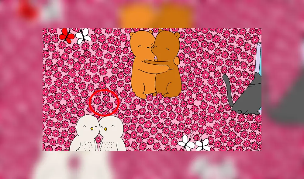 Desliza las fotografías para conocer la respuesta de este ‘reto visual’ que ha sido lanzado en el ‘Día de San Valentín’. Foto: dudolf Desliza las fotografías para conocer la respuesta de este ‘reto visual’ que ha sido lanzado en el ‘Día de San Valentín’. Foto: dudolf