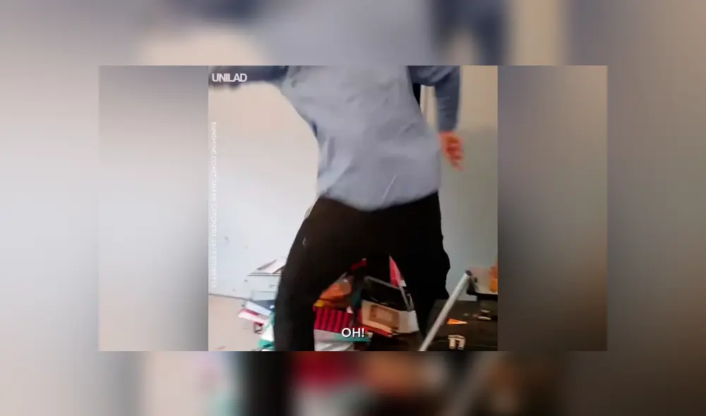 Video se viralizó en Facebook. Un hombre quedó asustado al toparse ‘cara a cara’ con un feroz reptil que  salió del interior de su armario para atacarlo por sorpresa.