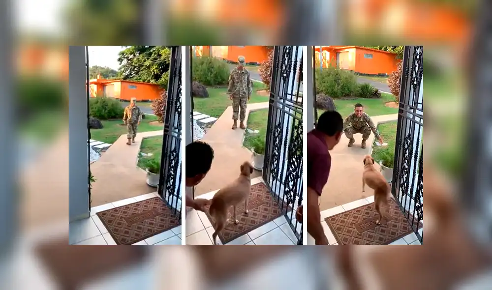 En YouTube, un joven militar retornó a su hogar tras meses de ausencia y recibió un tierno abrazo de su mascota. En YouTube, un joven militar retornó a su hogar tras meses de ausencia y recibió un tierno abrazo de su mascota.