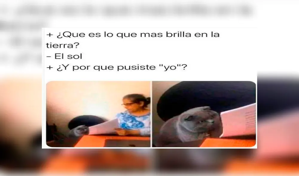 ¿Por qué pusiste? ¿Por qué pusiste?