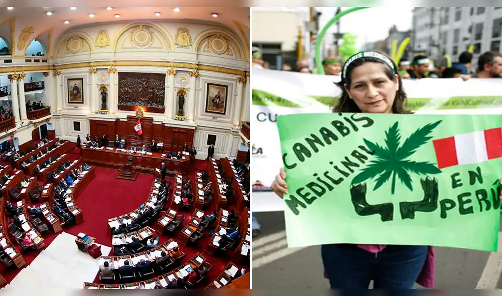 Congreso aprobó por mayoría legalizar el uso de cannabis medicinal