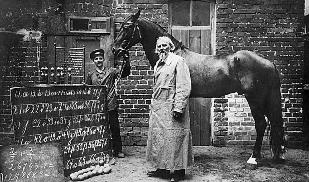Clever Hans no solo se volvió popular en Alemania sino también en toda Europa. Foto: Captura/YouTube/Experto Animal