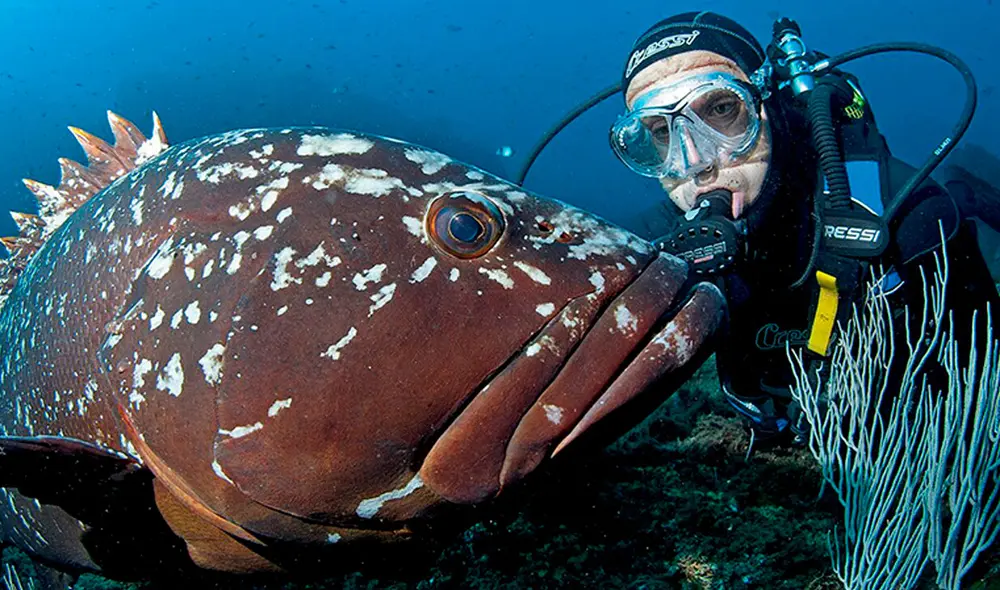 “El último hielo” del Ártico: la lucha de un pueblo indígena para sobrevivir al cambio climático