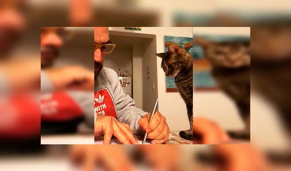 En Facebook, un señor intentó distribuir los quehaceres de la casa con su querida mascota, pero este se queda dormido. En Facebook, un señor intentó distribuir los quehaceres de la casa con su querida mascota, pero este se queda dormido.