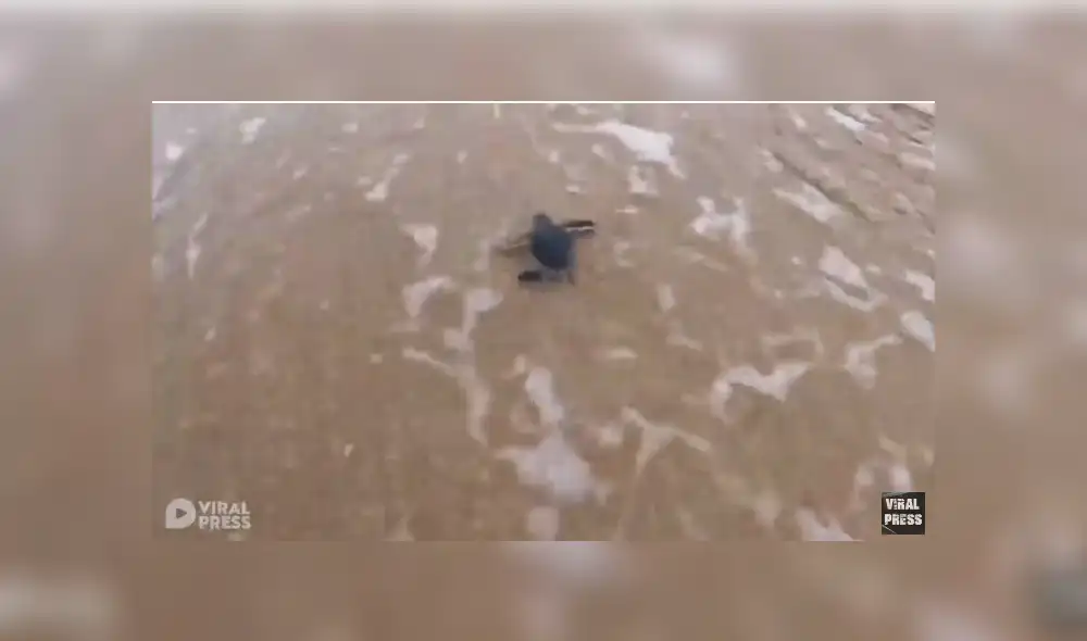 Desliza para ver los detalles del video viral publicado en YouTube. Foto: Captura.