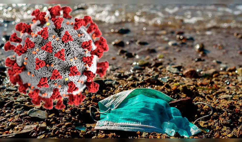 coronavirus coronavirus