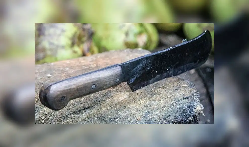 La asesina fue detenida en la localidad de Villa Diamante. (Fuente: Pixabay)