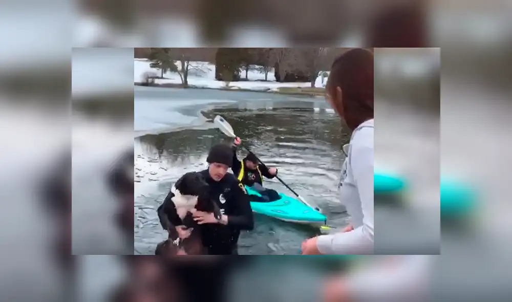 Desliza las imágenes para observar el rescate que realizó un policía tras ingresar a aguas congeladas para salvar a un perro.
