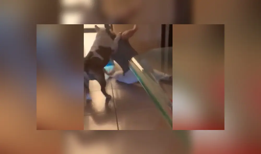 Desliza para ver los momentos más divertidos del video que se hizo viral en Facebook. Desliza para ver los momentos más divertidos del video que se hizo viral en Facebook.