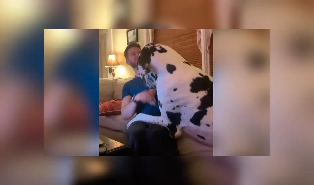 Desliza para ver todas las imágenes de Facebook. Foto: captura