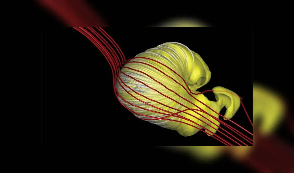 El nuevo modelo sugiere que la heliósfera tiene forma de un "cruasán desinflado". Imagen: Opher, et al. El nuevo modelo sugiere que la heliósfera tiene forma de un "cruasán desinflado". Imagen: Opher, et al.
