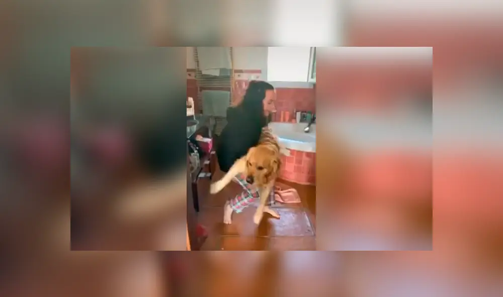 Desliza las imágenes hacia la izquierda para conocer la reacción de un perro tras obedecer a su dueña.