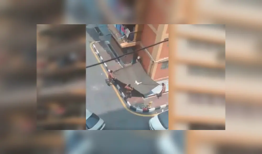 Residentes de un edificio de más de 10 pisos se han ganado los aplausos de varios internautas, tras ayudar a bomberos en el rescate de un indefenso felino Residentes de un edificio de más de 10 pisos se han ganado los aplausos de varios internautas, tras ayudar a bomberos en el rescate de un indefenso felino