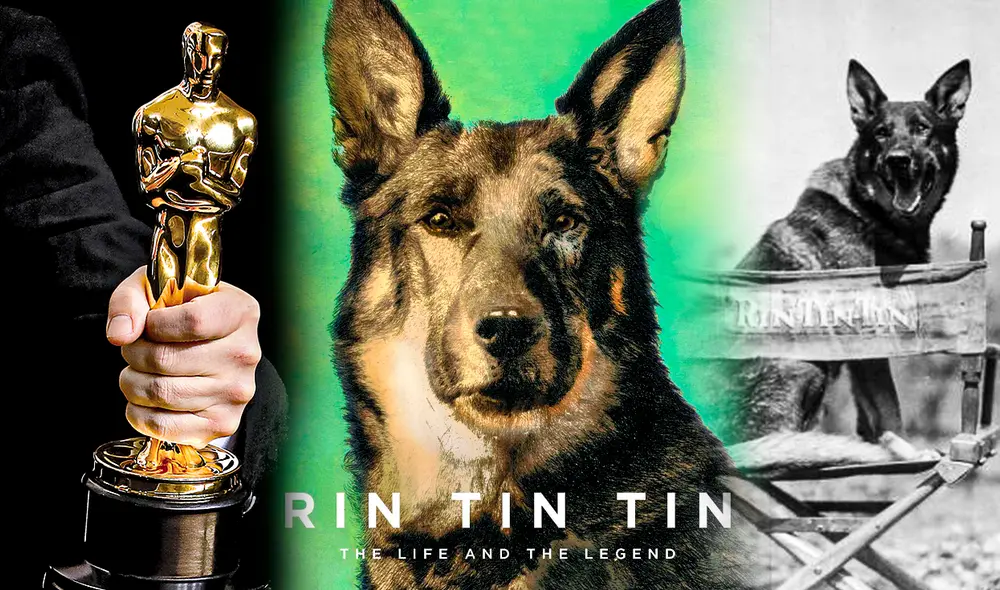 Rin Tin Tin participó en varias películas de principios del Siglo XX de manera sobresaliente, por lo que estuvo a un paso de convertirse en el primer perro en llevarse un Premio Óscar a casa. Foto: composición LR/Okdiario/Amazon/El País