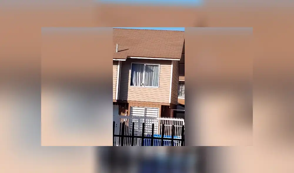 Desliza las imágenes para observar la travesura que cometió una perrita tras escapar de su casa por unas horas. Desliza las imágenes para observar la travesura que cometió una perrita tras escapar de su casa por unas horas.