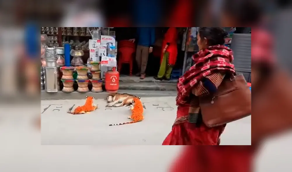 Desliza las imágenes hacia la izquierda para observar la reacción de un perro tras ser víctima de una pesada broma.