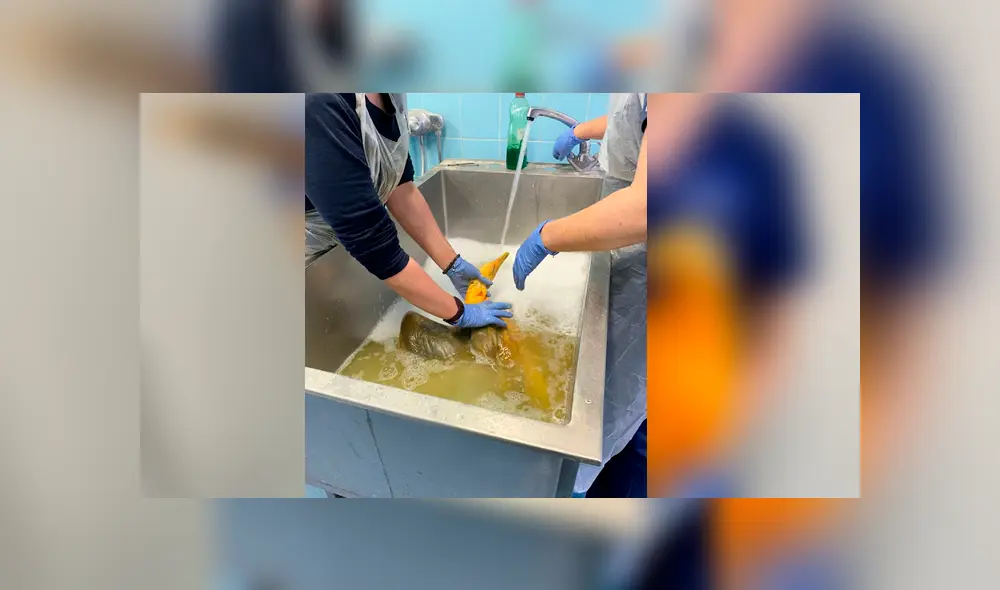 Desliza para ver los detalles de esta historia que se viralizó en Facebook. Foto: Captura. Desliza para ver los detalles de esta historia que se viralizó en Facebook. Foto: Captura.