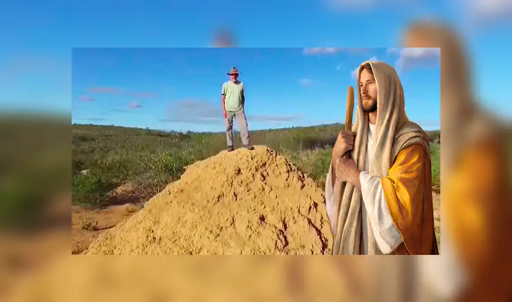 YouTube: Descubren nido de termitas más antiguo que Jesús y más grande que Gran Bretaña [VIDEO]