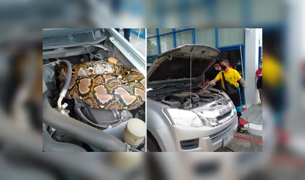 Desliza hacia la izquierda para ver las imágenes del viral de Facebook.