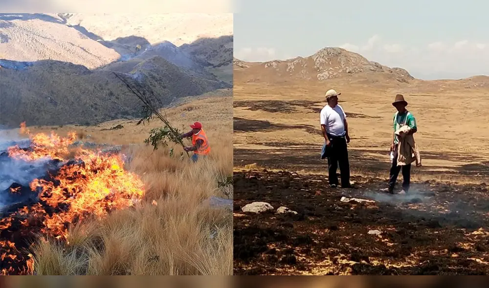 Cusco: Dos incendios forestales en el distrito de Ccora causa alarma en población