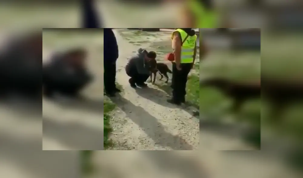 Desliza para ver los detalles del video viral publicado en YouTube. Foto: Captura. Desliza para ver los detalles del video viral publicado en YouTube. Foto: Captura.