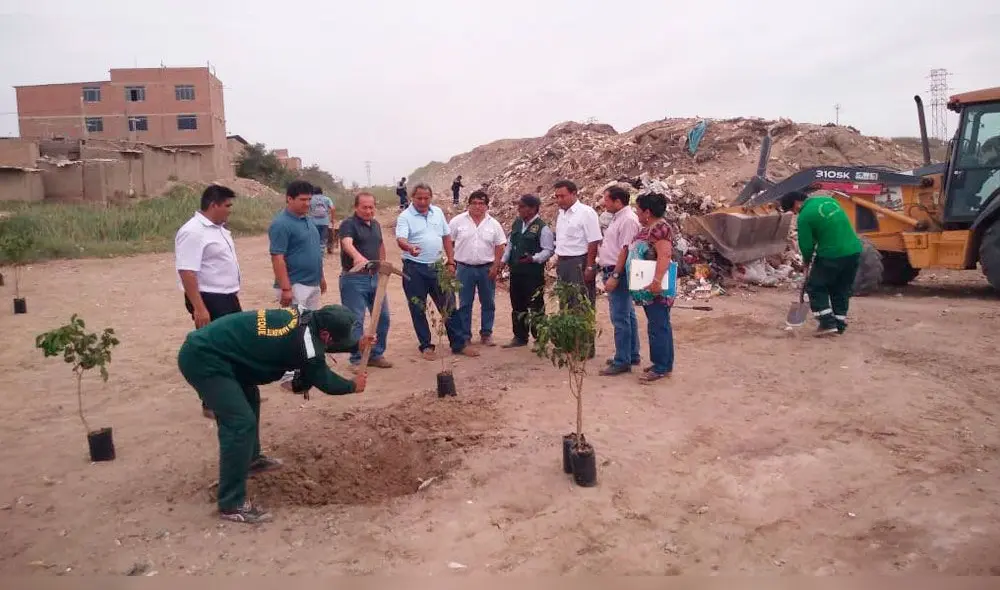 Lambayeque: realizan campaña de limpieza y siembran 50 plantones