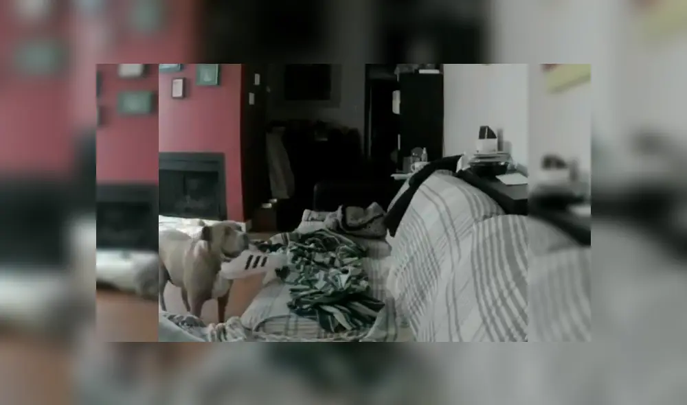 Sigue avanzando para ver los detalles del video viral publicado en YouTube. Foto: Captura.