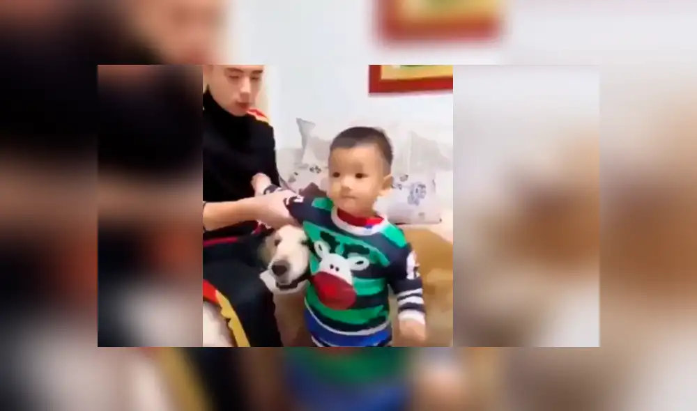 Vía Facebook. El papá simuló golpear a su bebé delante del can, sin imaginar la peculiar intervención que tendría este para proteger al pequeño