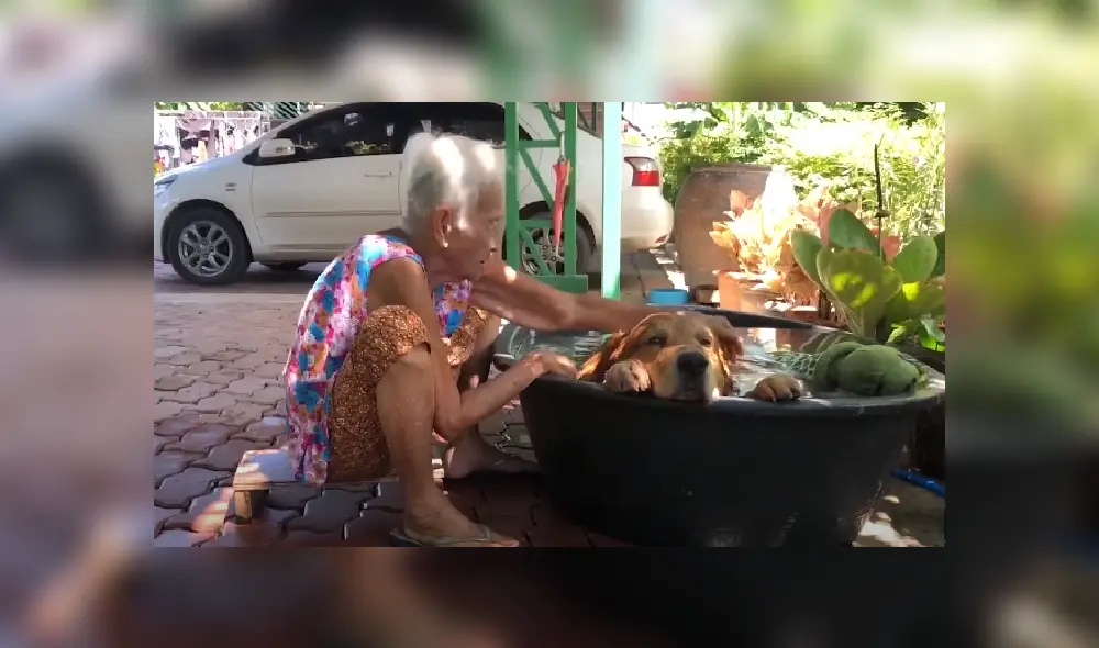 Desliza las imágenes para ver más detalles de esta tierna escena que es viral en YouTube.