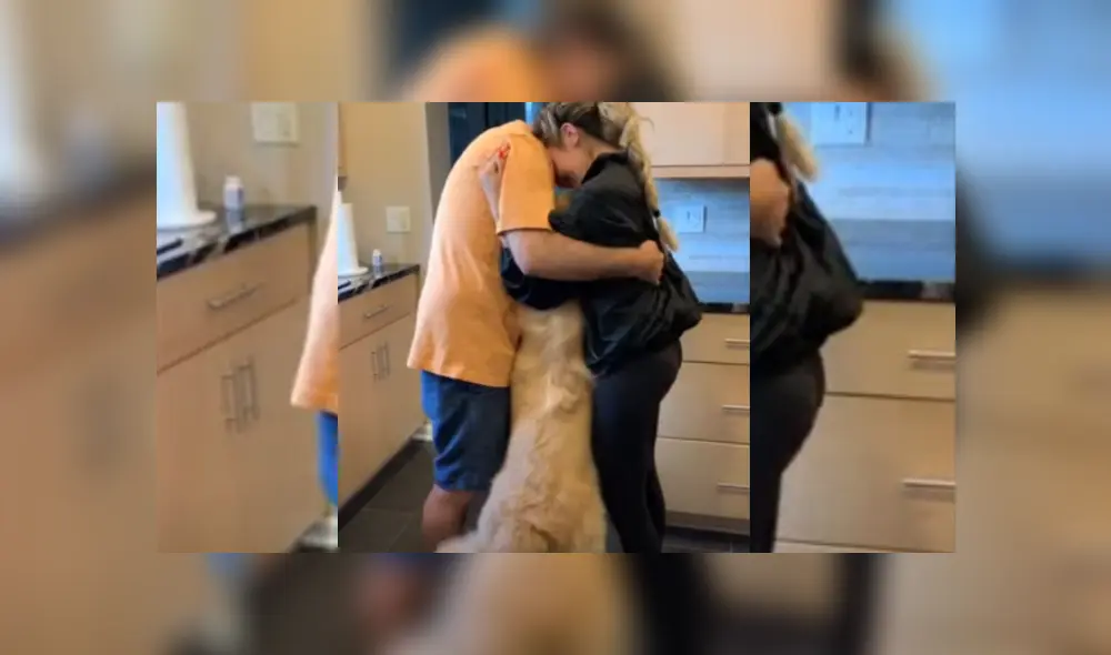 Video es viral en Facebook. El can observó que pareja estaba a punto de abrazarse y darse un beso, y fue hasta ellos con una graciosa conducta para llamar su atención. Video es viral en Facebook. El can observó que pareja estaba a punto de abrazarse y darse un beso, y fue hasta ellos con una graciosa conducta para llamar su atención.