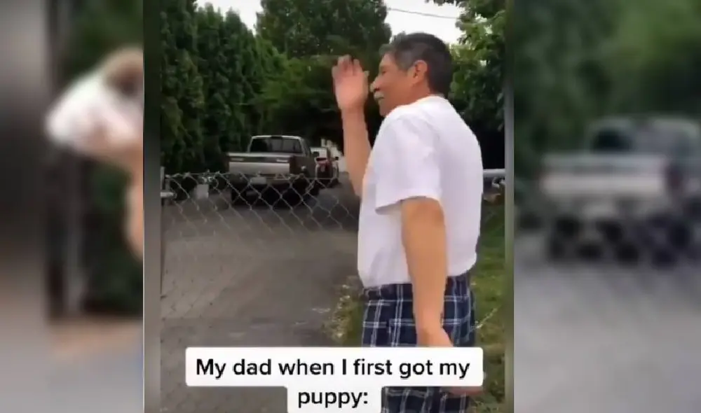 Desliza para ver el desenlace del viral. Foto: Captura/Facebook