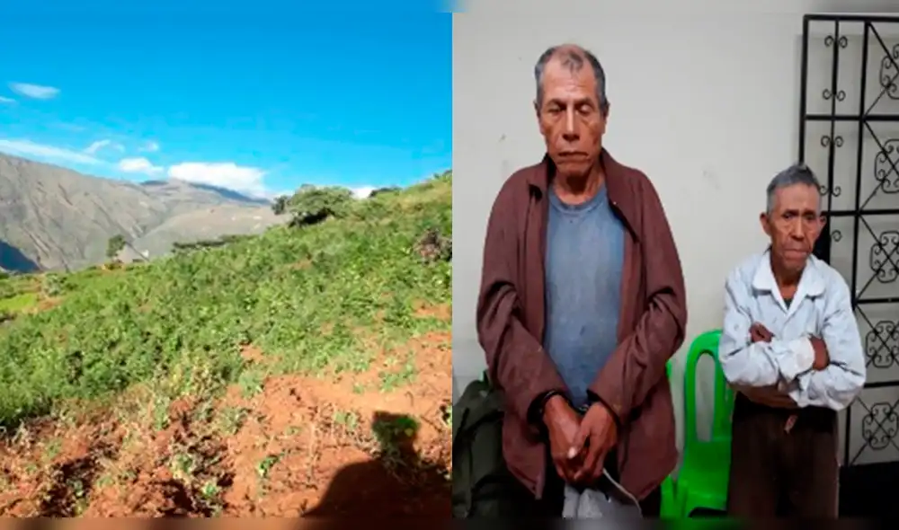 Incineran 16 000 plantones de marihuana en La Libertad