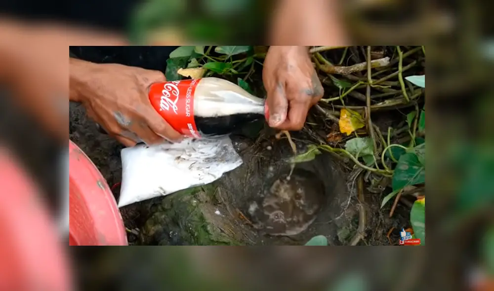 Desliza hacia la izquierda para ver el experimento con Coca Cola que se ha vuelto viral en YouTube. Desliza hacia la izquierda para ver el experimento con Coca Cola que se ha vuelto viral en YouTube.
