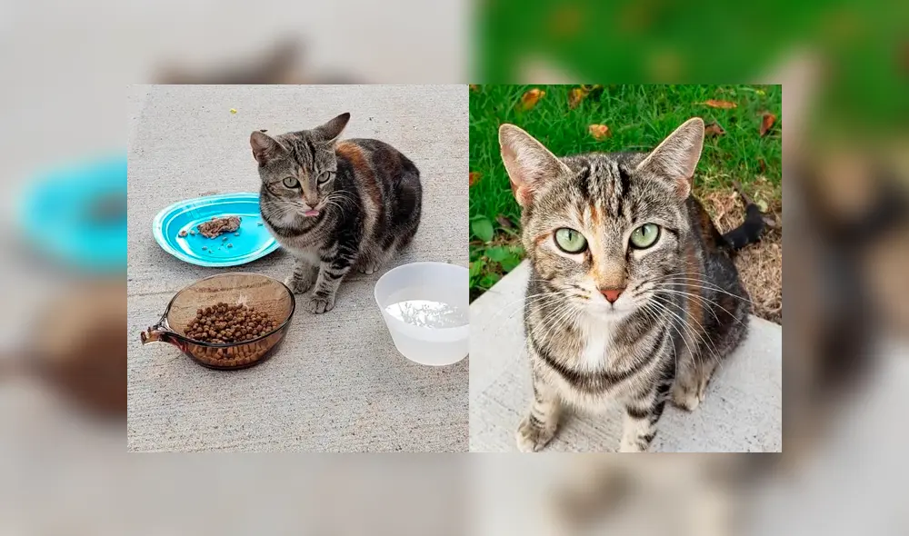 Desliza para ver los detalles de esta historia que se viralizó en Facebook. Foto: Captura. Desliza para ver los detalles de esta historia que se viralizó en Facebook. Foto: Captura.