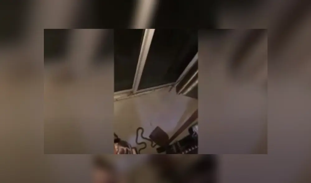 Desliza hacia la izquierda para ver más del video viral Desliza hacia la izquierda para ver más del video viral