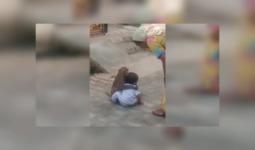 En Facebook, un pequeño mono no quiso que la madre de un pequeño los separe e hizo lo imposible. En Facebook, un pequeño mono no quiso que la madre de un pequeño los separe e hizo lo imposible.