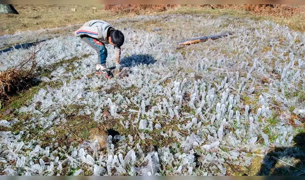 Heladas afectan cultivos en Lambayeque