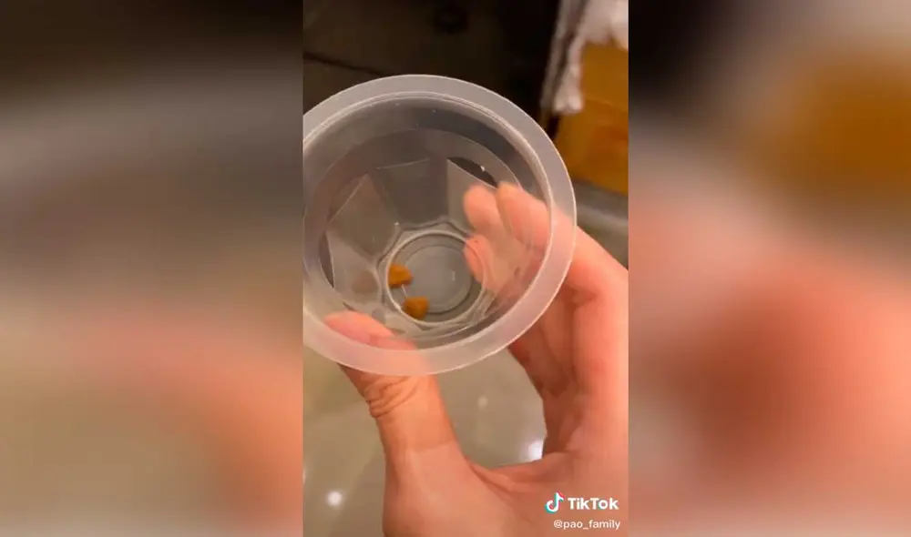 Desliza las imágenes para ver la furiosa e inesperada reacción que tuvo este diminuto perro al no recibir la comida que deseaba.  Foto: Captura de TikTok/ Janeiza