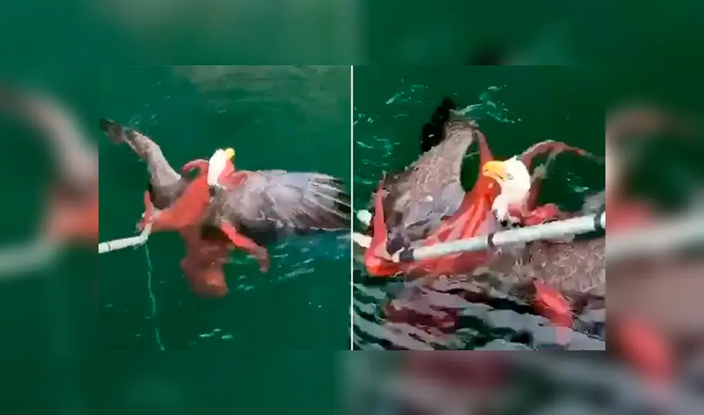 Desliza para ver los detalles de este video viral de YouTube. Foto: Captura. Desliza para ver los detalles de este video viral de YouTube. Foto: Captura.