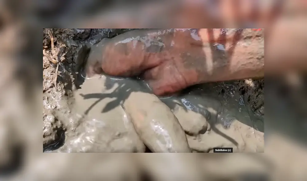 YouTube viral. Letal criatura aparece en misterioso hoyo de barro.
