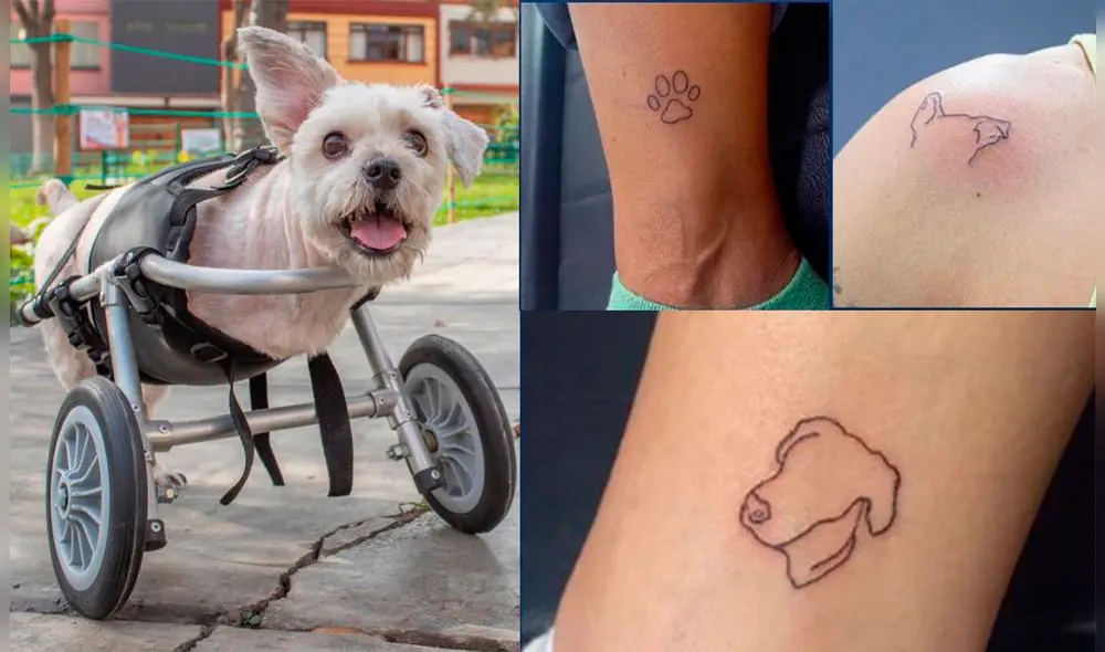 Foto: composición LR/Fundación Rayito