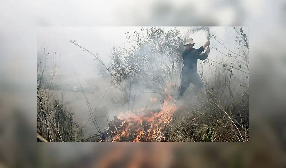 Se reportaron en el año 41 incendios forestales en Cusco