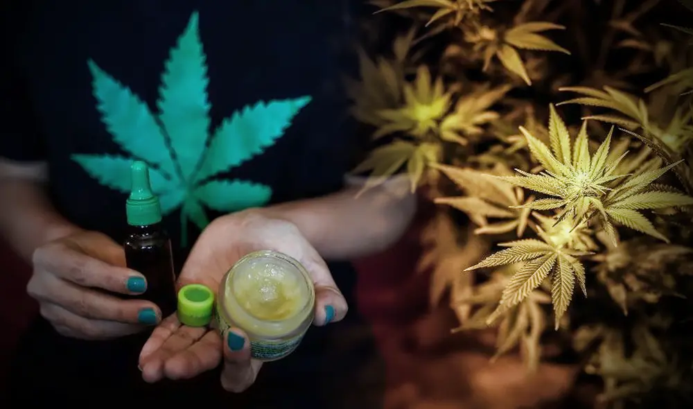 Autocultivo de cannabis. (Foto: Composición La República)