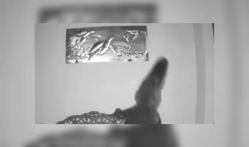 Desliza hacia la izquierda para ver las imágenes del viral de YouTube. Desliza hacia la izquierda para ver las imágenes del viral de YouTube.